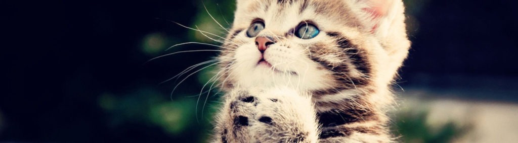 Building an attachment with emotional branding